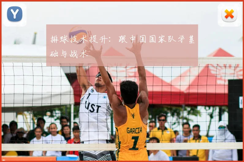 排球技术提升：跟中国国家队学基础与战术