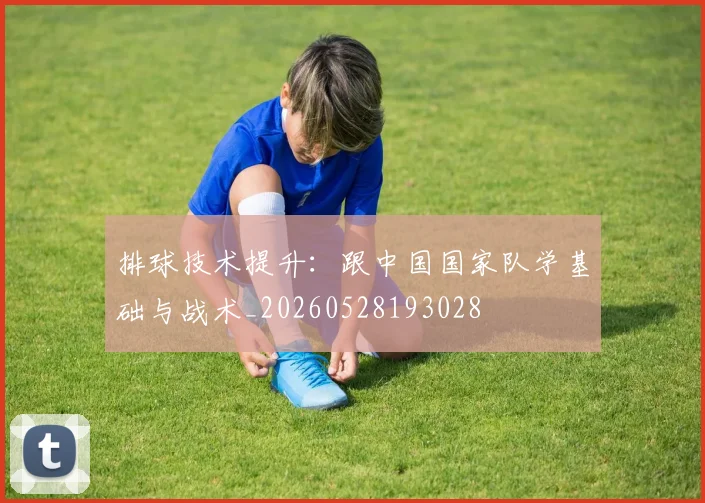 排球技术提升：跟中国国家队学基础与战术_20260528193028